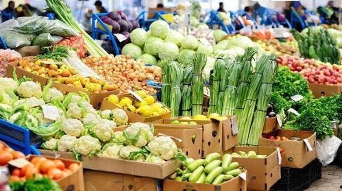 大连鲜瓜今日报价多少钱,品质佳价优，尽享夏日清凉”