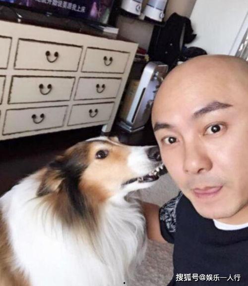 明星网红养狗是谁