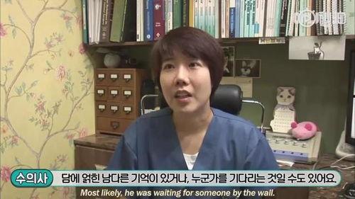 明星网红养狗是谁