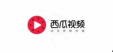瓜氏今日头条新闻,揭秘今日瓜界热点事件，带你领略瓜界风云变幻
