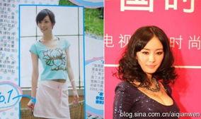 明星网红职业对比照图,职业对比照下的真实面貌揭秘