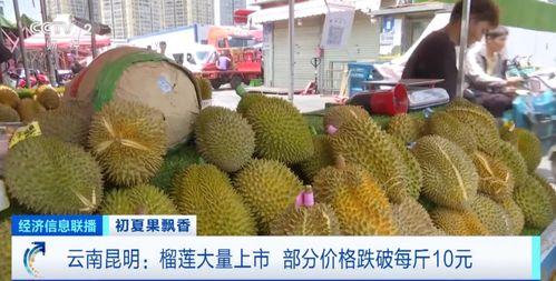 嘉兴蜜瓜今日行情实时报价