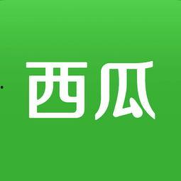 今日头条采访卖瓜,揭秘卖瓜小贩的日常与智慧