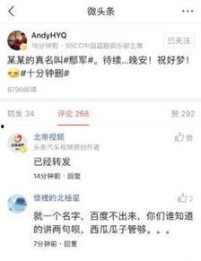 今日头条采访卖瓜,揭秘卖瓜小贩的日常与智慧