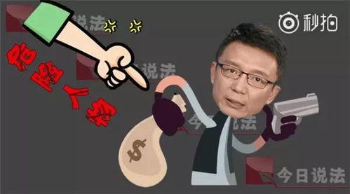 今日说法吃瓜视频,法律视角下的社会热点追踪