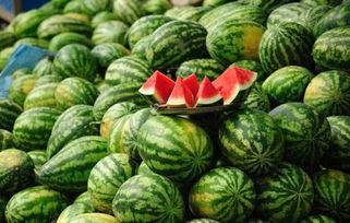 今日说法吃瓜视频,法律视角下的社会热点追踪
