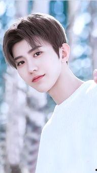 2018年男明星网红,2018年度男明星网红风云榜