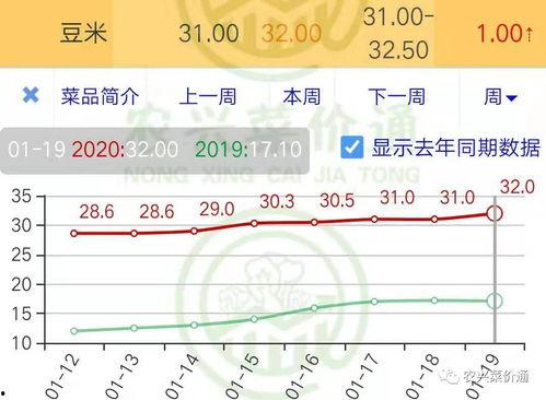 美华瓜今日价格行情走势,今日行情走势解析