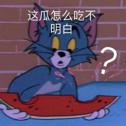 今日的瓜什么梗,揭秘网络热梗背后的故事