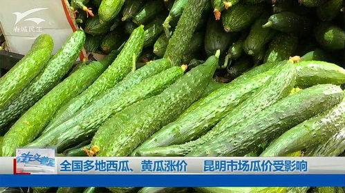 昆明市今日小瓜价,新鲜上市，价格走俏”