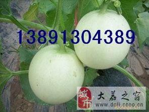 陕西小吊瓜今日价格表,市场行情一览