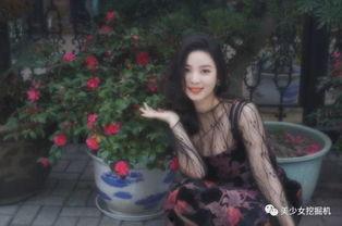 大明星网红合拍图片,网红与明星的跨界合拍盛宴
